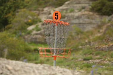 Yaz mevsiminde sığ bir alan derinliğinde bir orman sahasında disk golf (frolf) sepeti