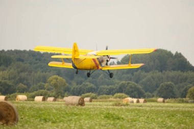 DAUGAVPILS, LATVIA - 27 Temmuz 2024 Sovyet çift kanatlı uçak Antonov AN-2 sarı gövde. Uçak saman balyalarının arasından kalkıyor.
