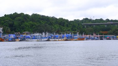 Goa, Hindistan 12.06.2024 tarihli. Mandovri nehrinden yeşil ağaçları ve mandovi köprüsü olan bir çok balıkçı teknesinin güzel manzarası.