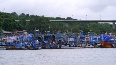 Goa, Hindistan 12.06.2024 tarihli. Mandovri nehrinden yeşil ağaçları ve mandovi köprüsü olan bir çok balıkçı teknesinin güzel manzarası.