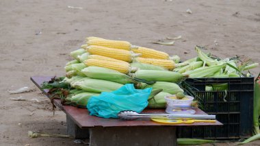 Sahilde mısır satıyorum..