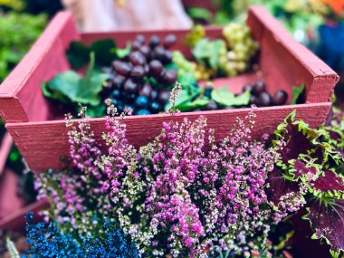 Sonbahar mevsimi meyveleri, hasır sepette organik meyveler. Yüksek kalite fotoğraf