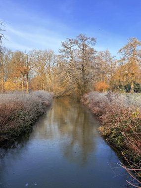 Karlı ağaçlarla dolu renkli bir manzara, suda yansıması olan güzel donmuş bir nehir. Kış manzarası. 