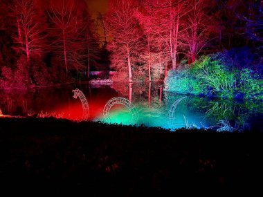 Bremen botanik bahçesindeki ağaçların ışıklandırılması. 09.02.2025.