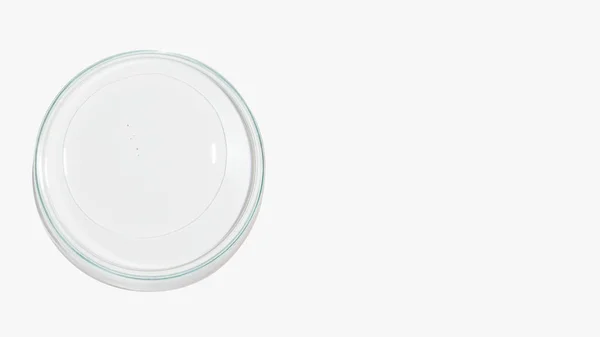 Placa Petri Com Gel Cor Transparente Fundo Claro Louça Vidro — Fotografia de Stock