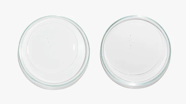 Petri Dishes Clear Liquid Gel Fluid Texture Light Background Laboratory — Stock Photo, Image