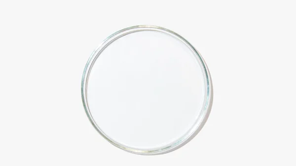 Uma Placa Petri Vazia Fundo Claro — Fotografia de Stock