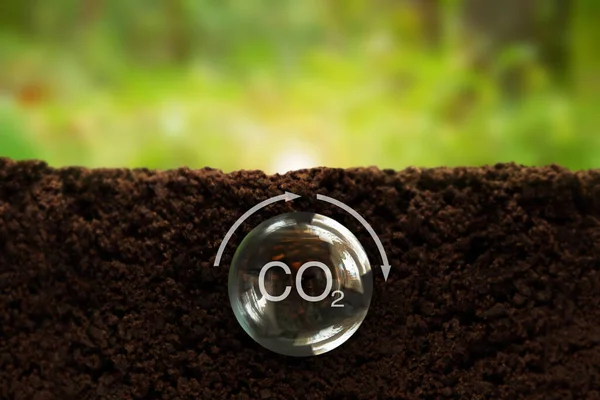 Formula of carbon in a transparent ball underground, on a green background. Reducing carbon emissions, carbon neutral concept. Net zero greenhouse gas emission target. CO2 carbon footprint reduction concept