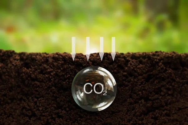 Formula of carbon in a transparent ball underground, on a green background. Reducing carbon emissions, carbon neutral concept. Net zero greenhouse gas emission target. CO2 carbon footprint reduction concept