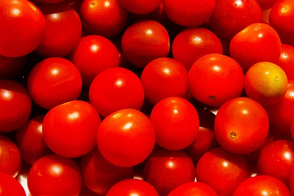 Tomates Cereja Tomates Cereja Close Luz Forte Luz Brilhante Sombra — Fotografia de Stock