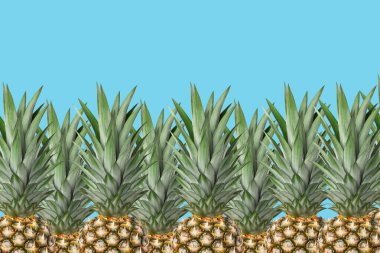 Pineapple background. Blue background and fresh pineapples. Top part. Concept.