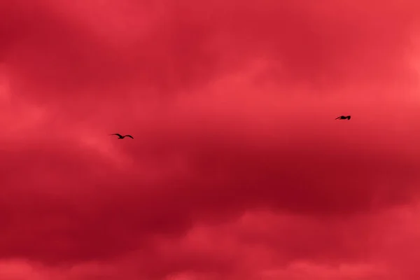 Fiery red sky. Blood clouds. Horror. Background, banner. Horror, explosion, disaster.