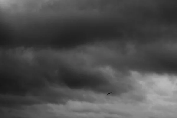 Black and white sky. Dramatic clouds. Horror. Background, banner. Horror, explosion, catastrophe, sadness, horror, melancholy.