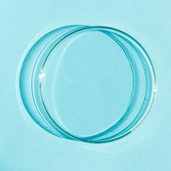 Placa Petri Sobre Fondo Azul —  Fotos de Stock