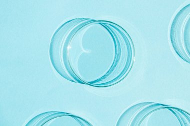 Petri kabı. Bir takım Petri bardakları. Mavi bir arkaplanda.