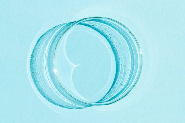 Petri kabı. Mavi bir arkaplanda.