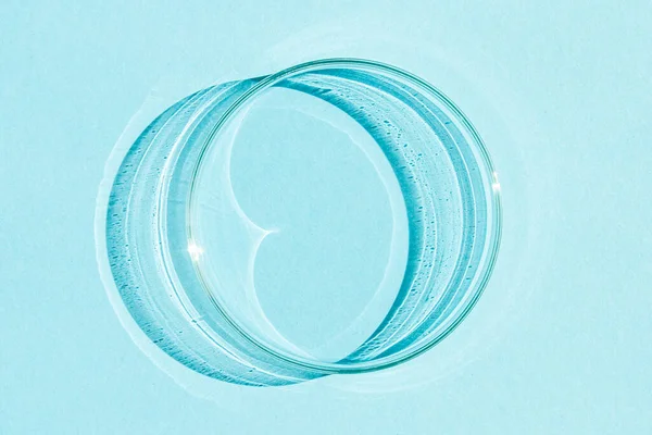 Placa Petri Sobre Fondo Azul — Foto de Stock