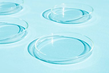 Petri kabı. Bir takım Petri bardakları. Mavi bir arkaplanda.