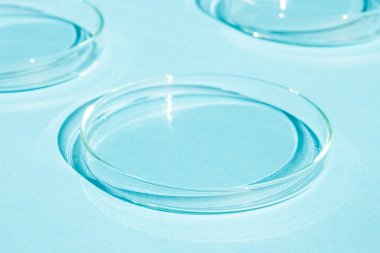 Petri kabı. Mavi bir arkaplanda.