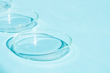 Petri kabı. Mavi bir arkaplanda.