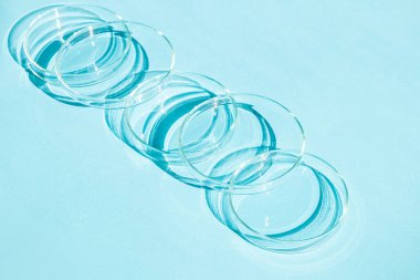 Petri kabı. Bir takım Petri bardakları. Mavi bir arkaplanda.