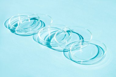 Petri kabı. Bir takım Petri bardakları. Mavi bir arkaplanda.