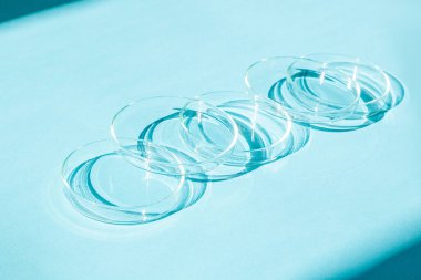 Petri kabı. Bir takım Petri bardakları. Mavi bir arkaplanda.