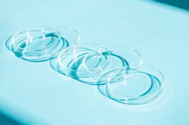 Petri kabı. Bir takım Petri bardakları. Mavi bir arkaplanda.