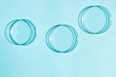 Petri kabı. Bir takım Petri bardakları. Mavi bir arkaplanda.