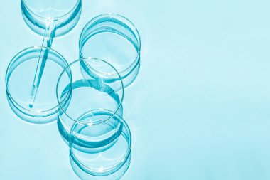 Petri kabı. Bir takım Petri bardakları. Bir pipet, cam tüp. Mavi bir arkaplanda.