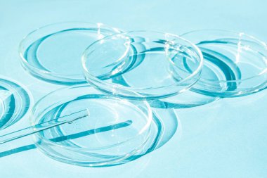 Petri kabı. Bir takım Petri bardakları. Bir pipet, cam tüp. Mavi bir arkaplanda.