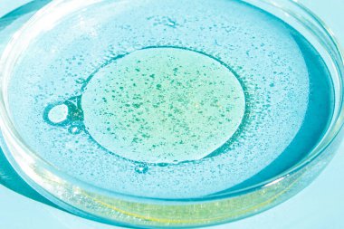 Petri kabı. Petri 'nin bardağında sıvı var. Kimyasal elementler, petrol, kozmetik. Jel, su, moleküller, virüsler. Yakın plan. Mavi bir arkaplanda.