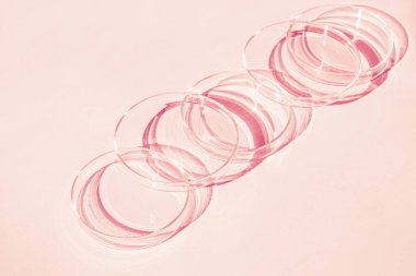 Petri kabı. Bir takım Petri bardakları. Pembe arka planda. Laboratuarın yarısı..