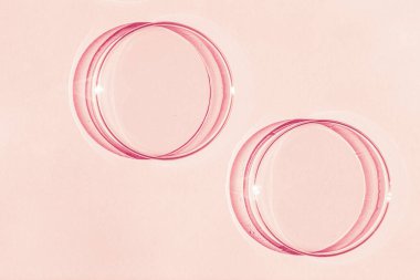 Petri kabı. Bir takım Petri bardakları. Pembe arka planda. Laboratuarın yarısı..