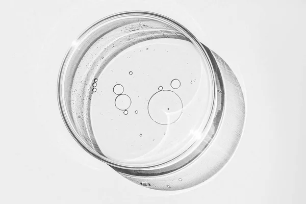 Placa Petri Taza Petri Con Líquido Elementos Químicos Aceite Cosméticos — Foto de Stock