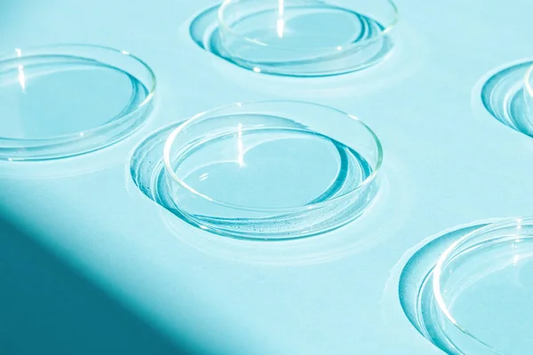 stock image Petri dish. A set of Petri cups. On a blue blue background.