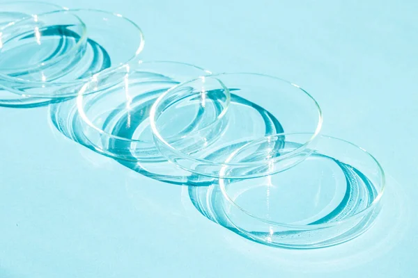 stock image Petri dish. A set of Petri cups. On a blue blue background.