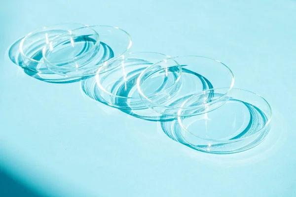 stock image Petri dish. A set of Petri cups. On a blue blue background.