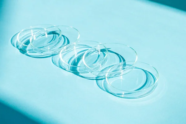 stock image Petri dish. A set of Petri cups. On a blue blue background.