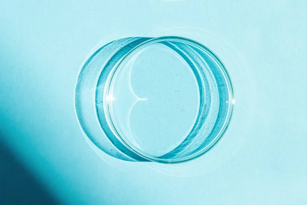 stock image Petri dish. On a blue blue background.