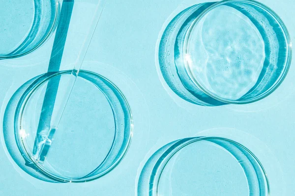 Petri Csésze Egy Pár Petri Csészével Egy Pipetta Üvegcső Kék — Stock Fotó