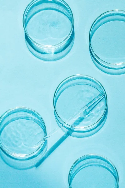 Petri菜 一套Petri杯 一个管道 玻璃管 蓝色底色 — 图库照片