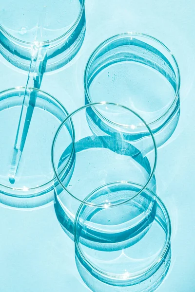 Petri菜 一套Petri杯 一个管道 玻璃管 蓝色底色 — 图库照片
