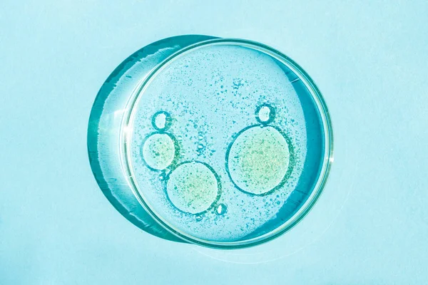 Petri Kabı Petri Nin Bardağında Sıvı Var Kimyasal Elementler Petrol — Stok fotoğraf