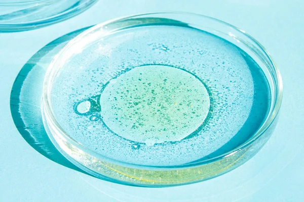 ペトリ皿 ペトリのコップに液体が入ってる 化学元素 化粧品 ウイルス 接近中だ 青い背景で — ストック写真