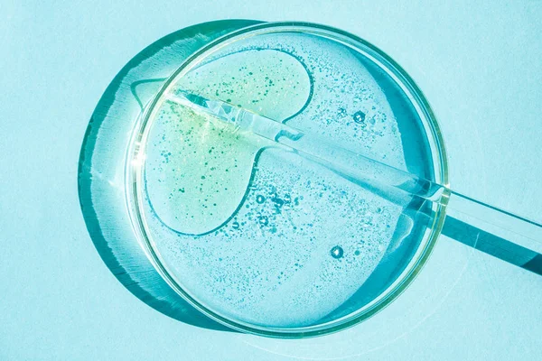 Petri菜 Petri的杯子里有液体化学元素 化妆品 蓝色背景的 — 图库照片