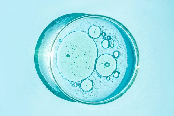 Petri Kabı Petri Nin Bardağında Sıvı Var Kimyasal Elementler Petrol — Stok fotoğraf