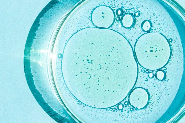 Πιάτο Petri Κύπελλο Του Petri Υγρό Χημικά Στοιχεία Λάδι Καλλυντικά — Φωτογραφία Αρχείου