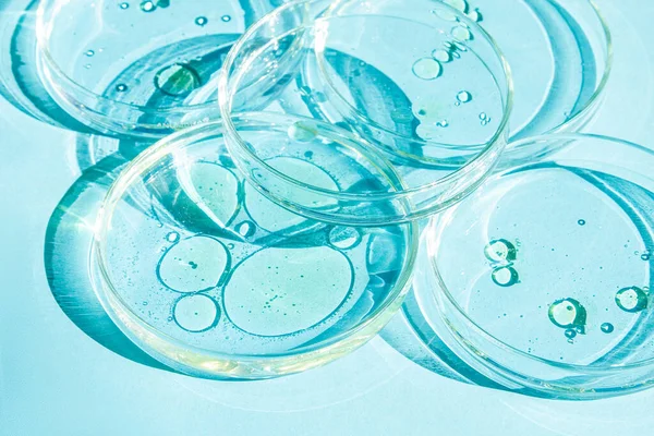 Πιάτο Petri Κύπελλα Petri Υγρό Έτοιμοι Χημικά Στοιχεία Λάδι Καλλυντικά — Φωτογραφία Αρχείου