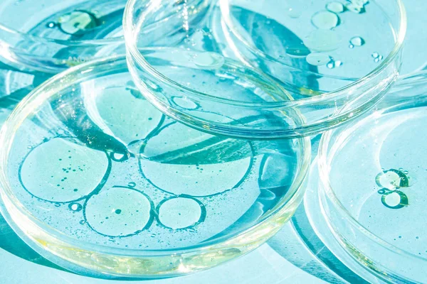 Piastra Petri Tazze Petri Con Liquido Pronti Elementi Chimici Olio — Foto Stock